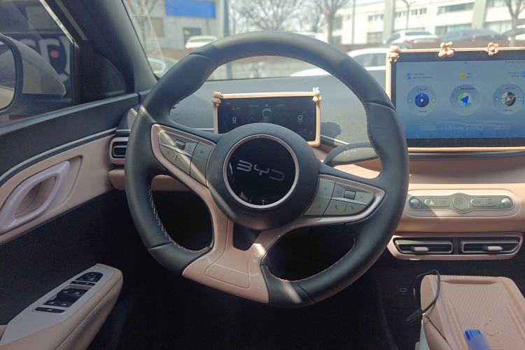 Used BYD Seagull 2025 Model Smart Drive Version 405km Free-Spirited Version
