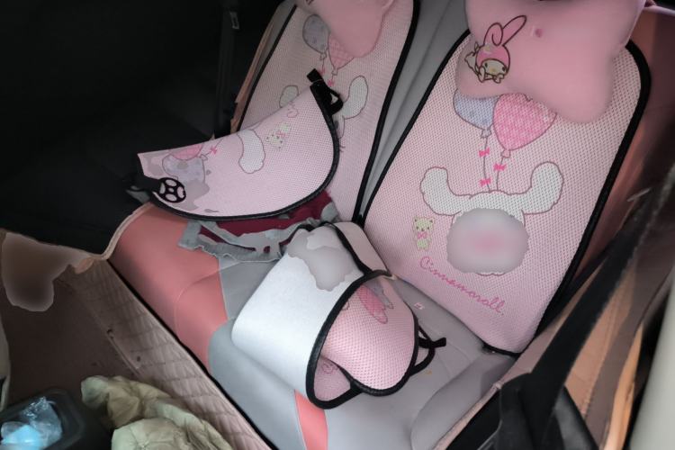 Used Chery QQ Little Ant 2022 Sweet Pink Edition Half-Sugar Version Lithium Iron Phosphate 30 kW 301 km
