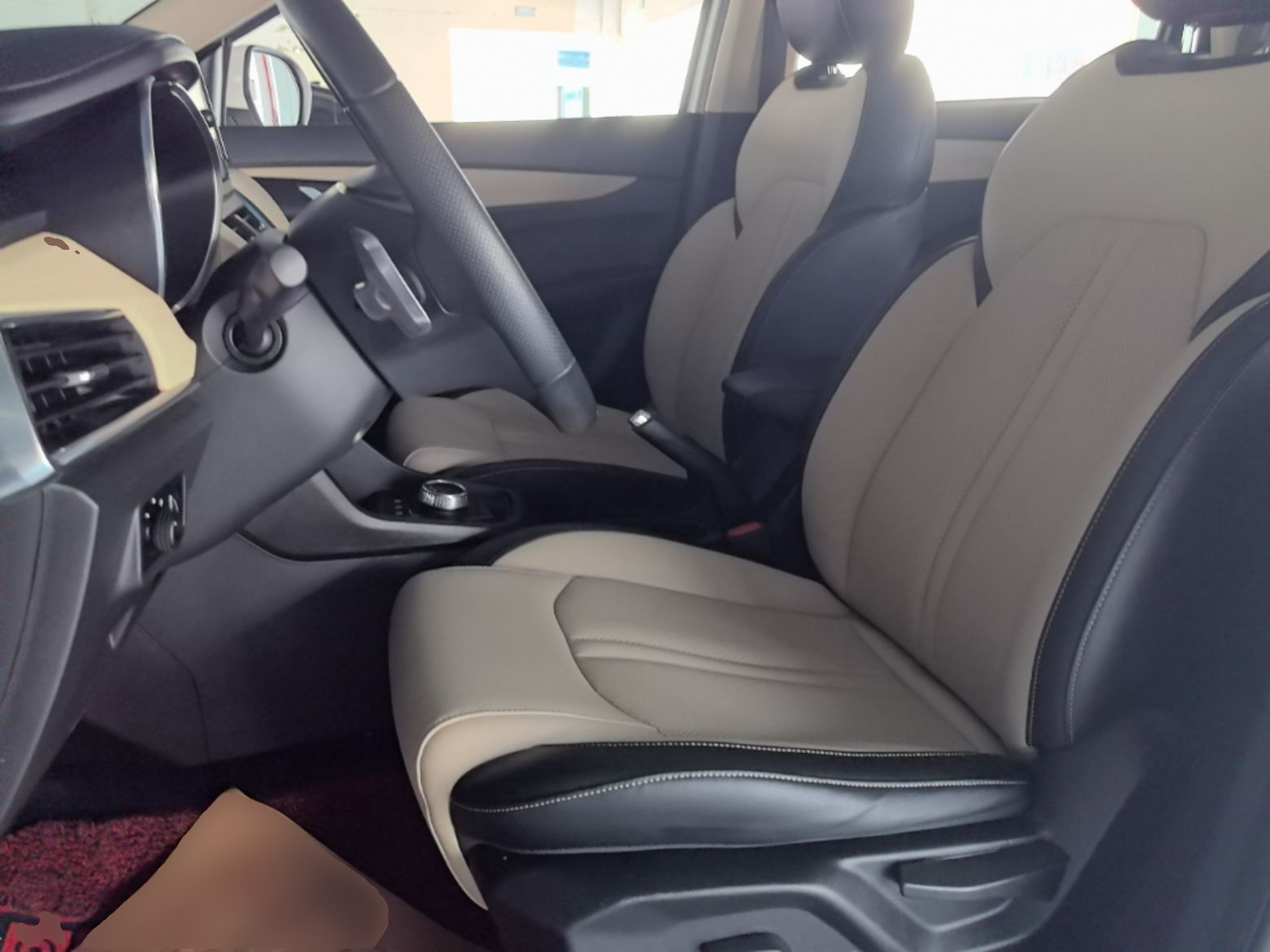 Interior delantero