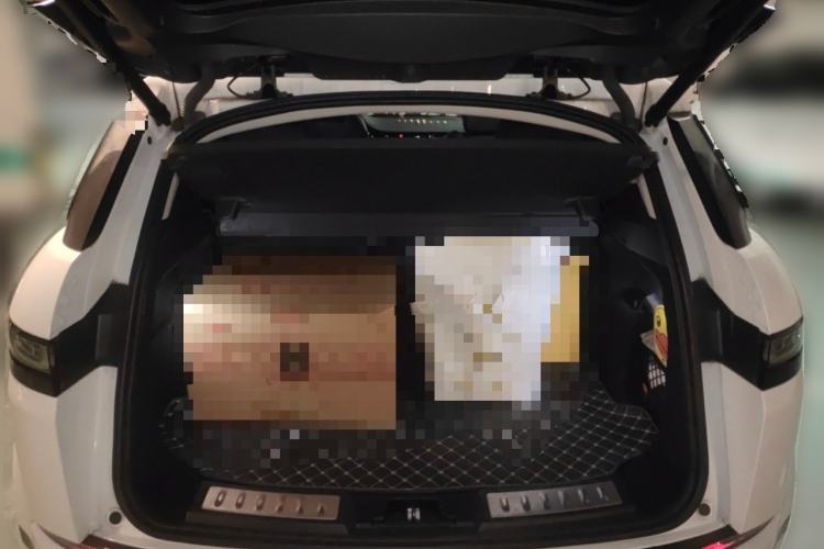 Used Land Rover Range Evoque 2023 Aurora L 249 PS Luxury Edition
