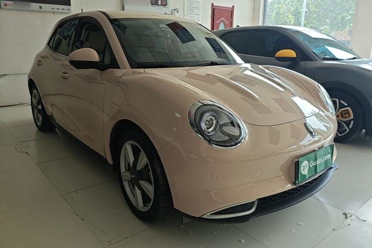 Used ORA Good Cat 2023 401 km Standard Range Luxury Version Lithium Iron Phosphate
