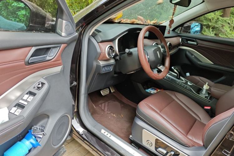 Used Wey VV6 2019 2.0T Two-Wheel-Drive Ultra-Luxury Version China VI Standard