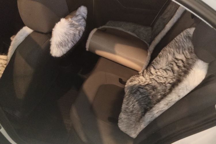 Used Volkswagen Santana 2019 1.5L Manual Fashion Edition China VI Standard