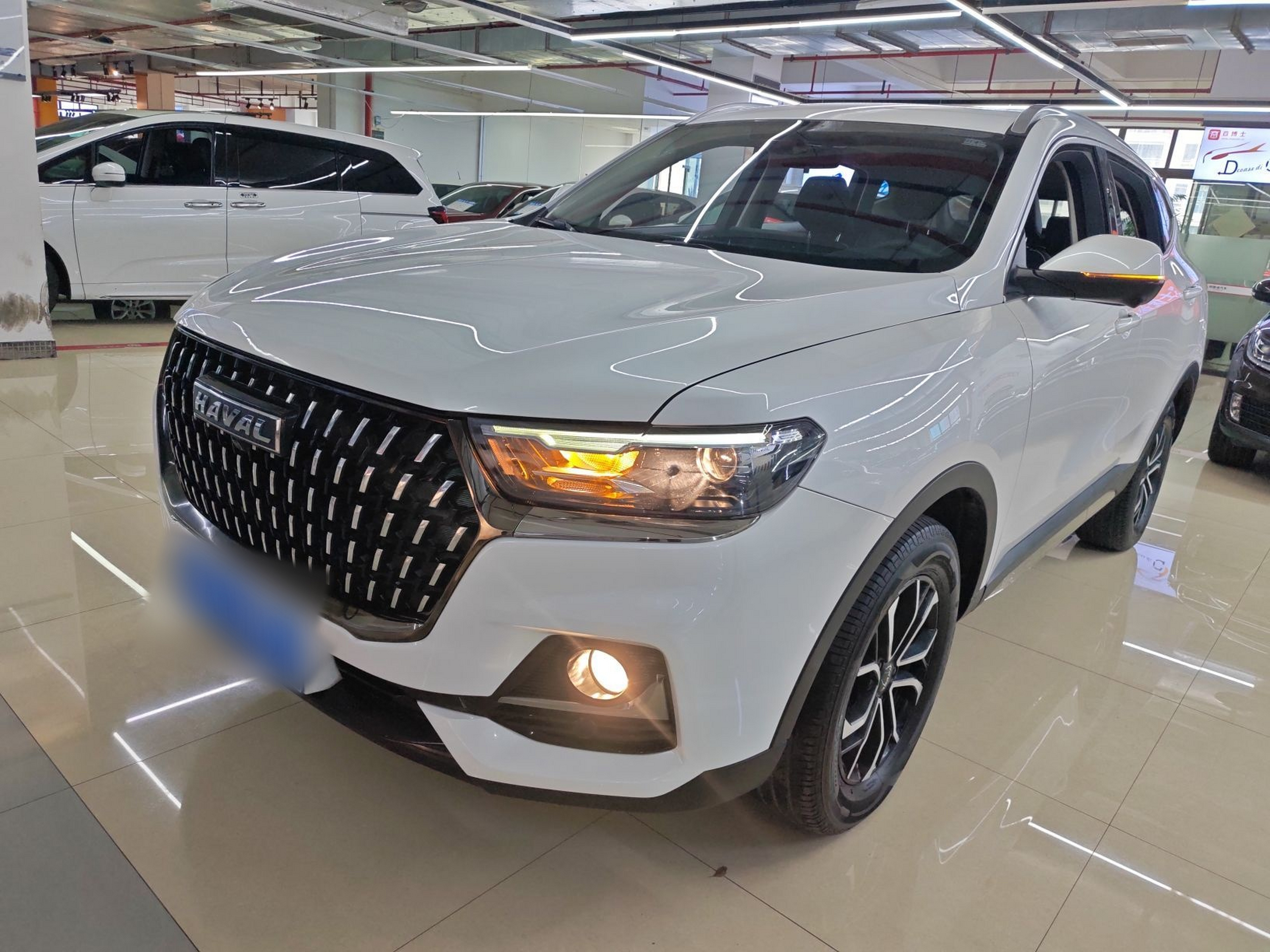 Parte inferior delantera