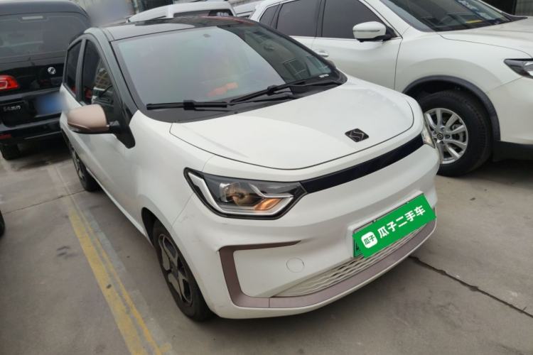 Used SOL E10X 2022 Flower Fairy Style Baby's Breath