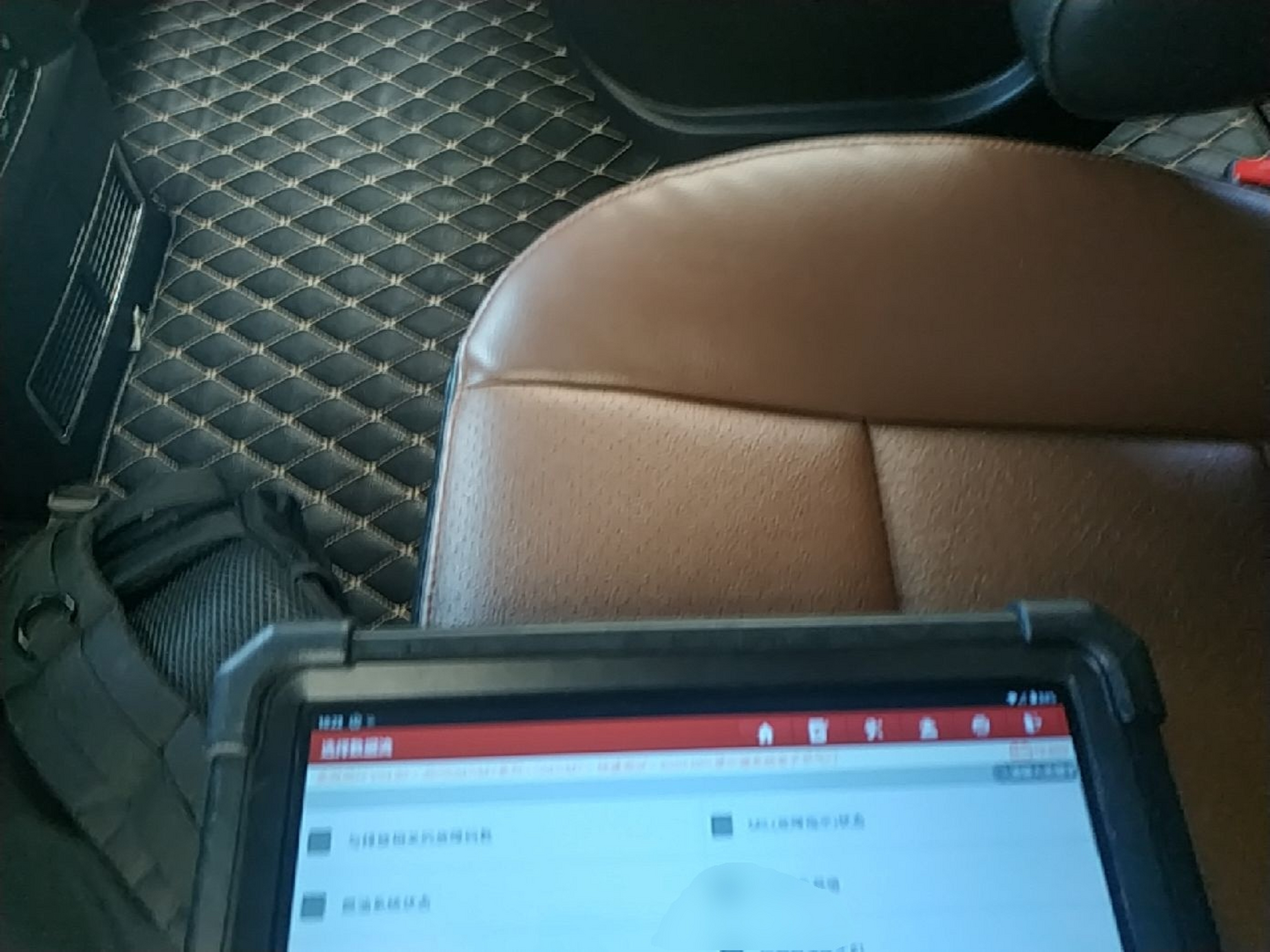 Interior delantero
