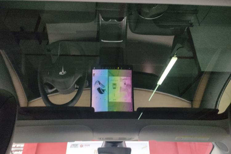 Used Tesla Model 3 2021 Performance High-Performance All-Wheel-Drive Version Headliner