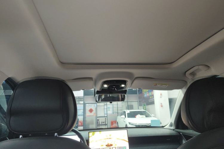 Used Fengyun T9 2024 120 Long-Range Comfort Version 5 Seats Lithium Iron Phosphate Headliner