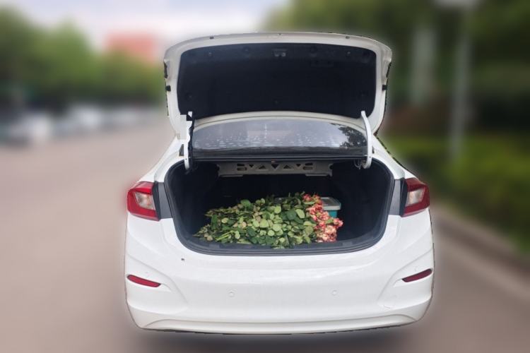 Used Chevrolet Cruze 2017 1.5L Automatic Pioneer Sunroof Edition
