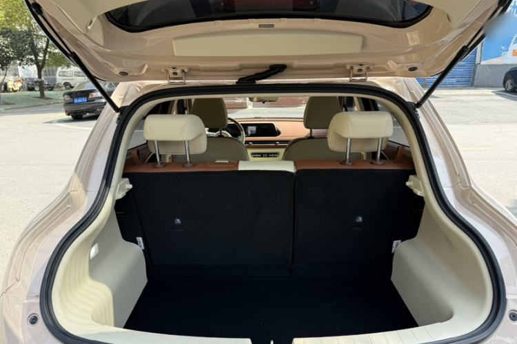 Used ORA Good Cat 2022 Morandi Edition 400km Standard Range Two-Week Young Enjoyment Version Lithium Iron Phosphate
