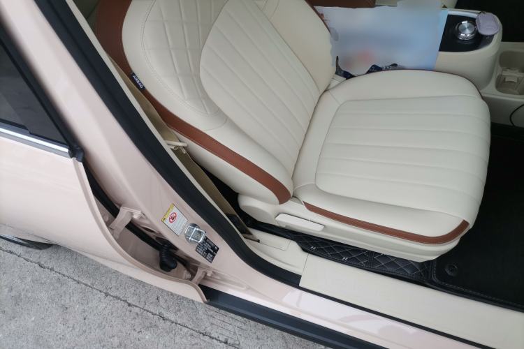 Used ORA Good Cat 2022 Morandi Edition 400km Standard Range Luxury Version Lithium Iron Phosphate Right Front Seat