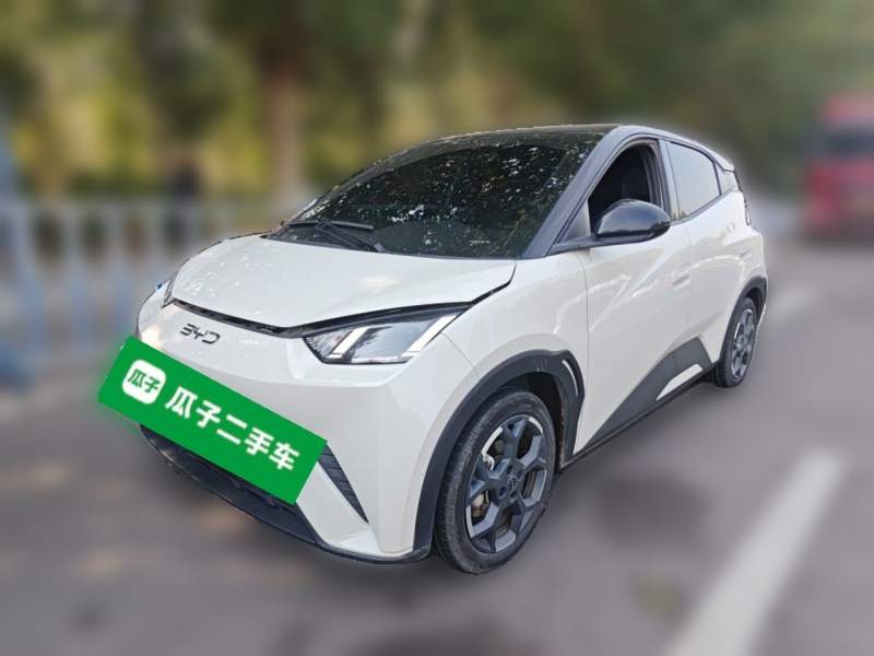 Used BYD Seagull 2025 405 km Flying Edition — 1