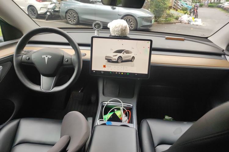 Used Tesla Model Y 2021 Standard Range Rear-Wheel Drive Version
