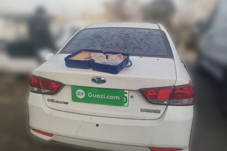 Used HORKI 300E 2017 Standard Model