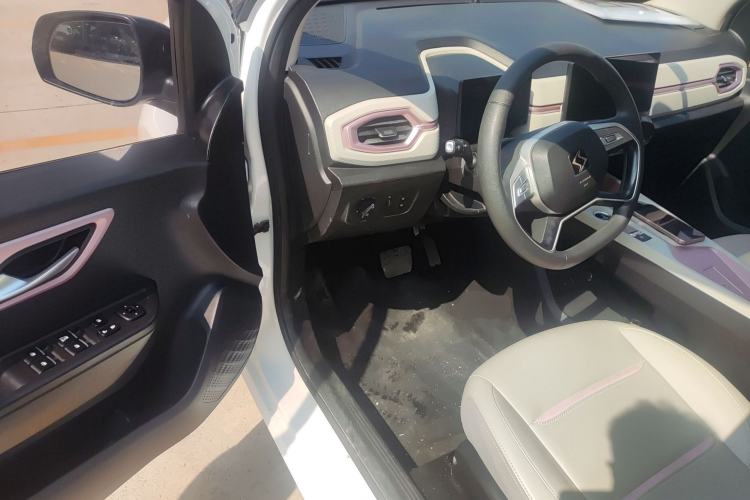 Used SOL E10X 2022 Flower Fairy Design Four-Leaf Clover