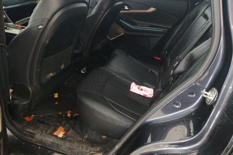 Used EXEED Lingyun 2021 290T Two-Wheel Drive Star Edition Left Rear Seat