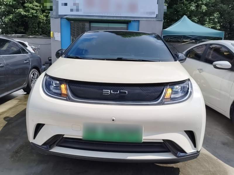 Used BYD Dolphin 2024 Honor Edition 420km Fashion Version — 2