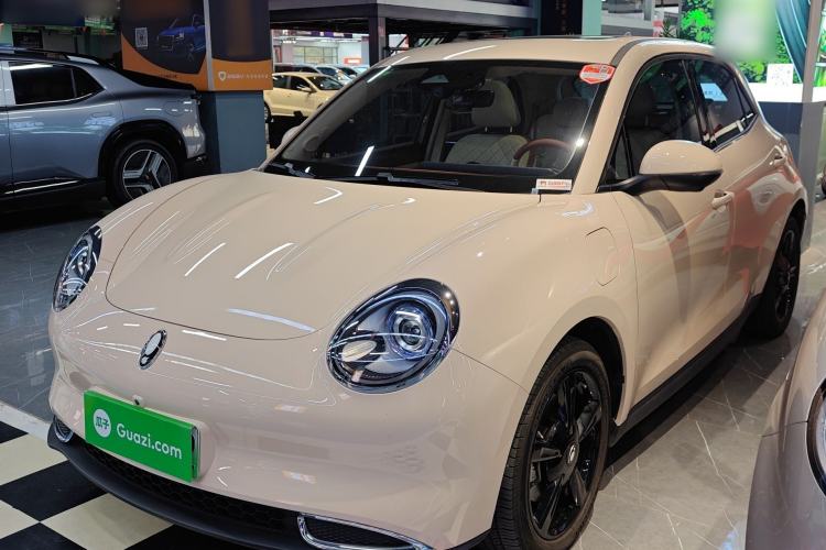 Used ORA Good Cat 2024 501 km Luxury Version