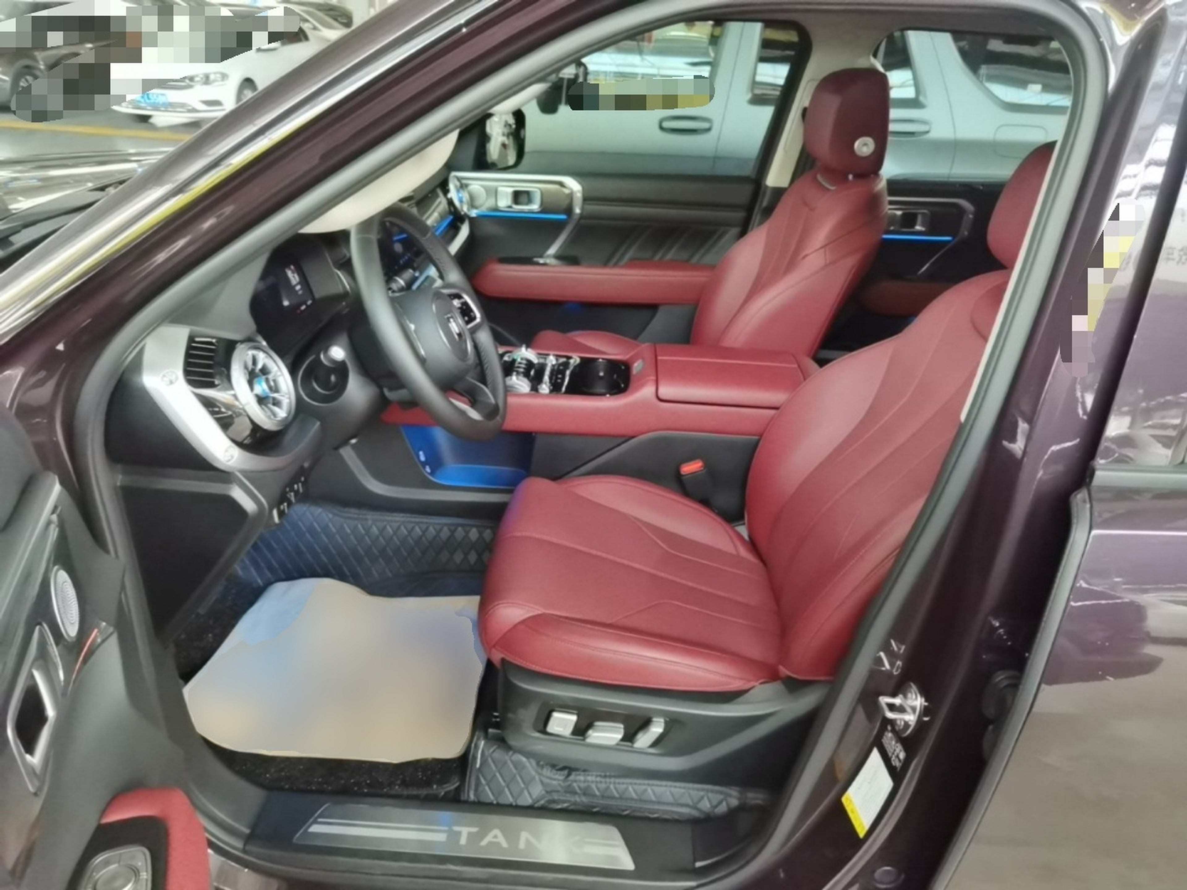 Interior delantero