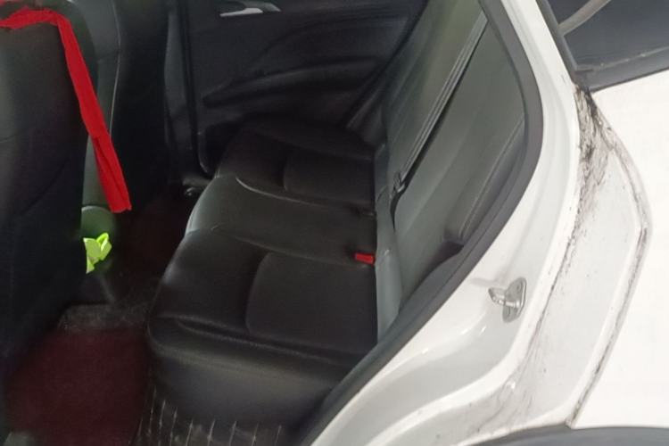 Used NETA V 2021 Long-Range Entertainment Edition Upgrade Model

