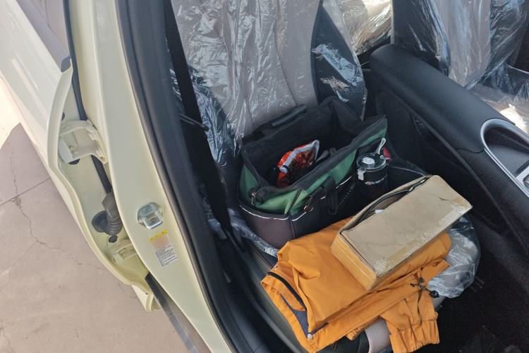 Used BYD Dolphin 2025 420km Free Edition Right Front Seat