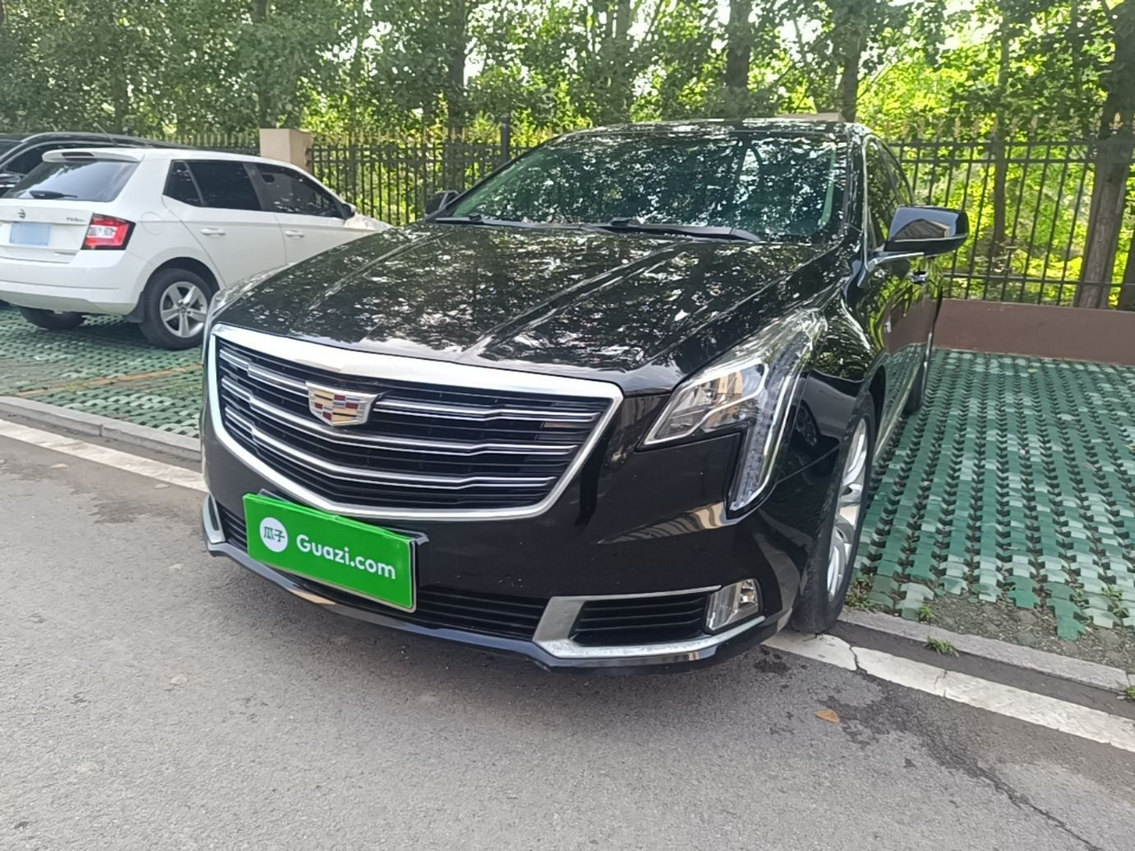 Under Front Bumper