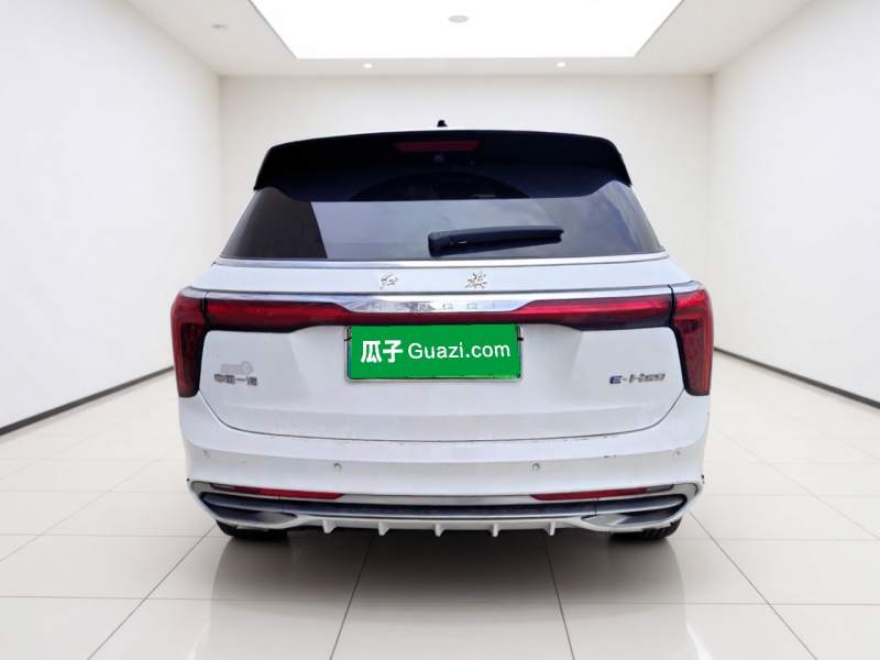 Used Hongqi E-HS9 2021 510 km Range Flagway Edition Six Seats — 14