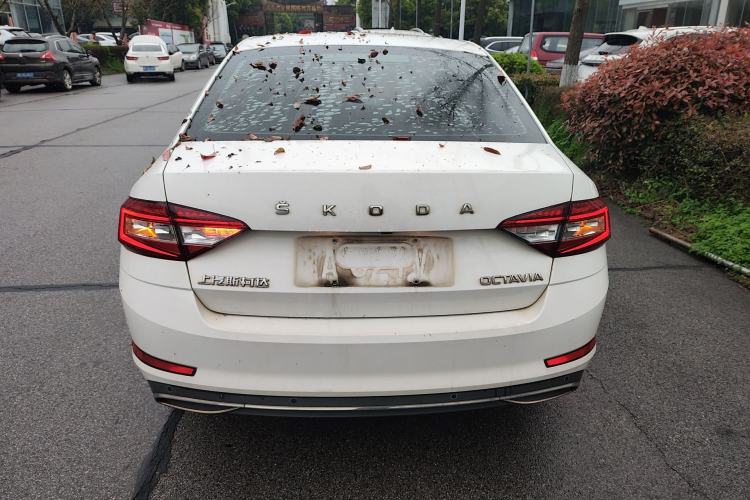 Used Skoda Octavia 2019 1.5L Automatic Smart Drive Luxury Edition China VI Standard Rear