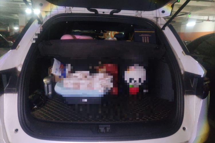 Used BYD Song Pro 2021 1.5T Automatic Xiaoyun Luxury Model Trunk