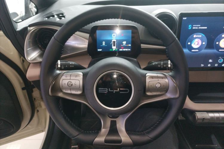 Used BYD Dolphin 2023 420 km Free Version Steering Wheel