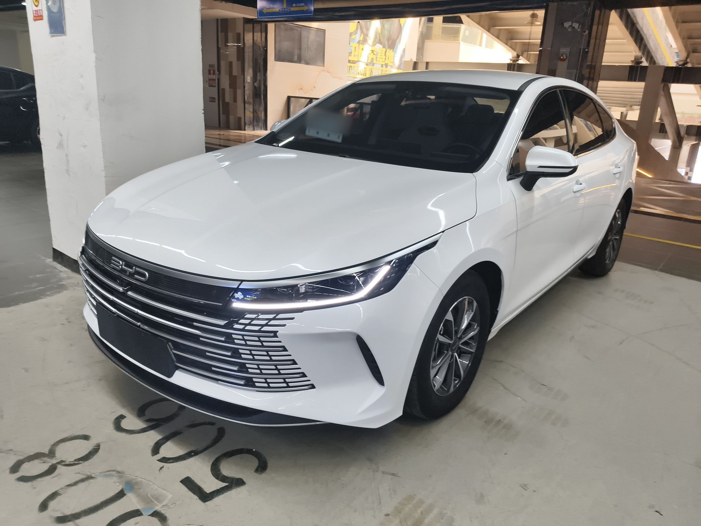 Parte inferior delantera