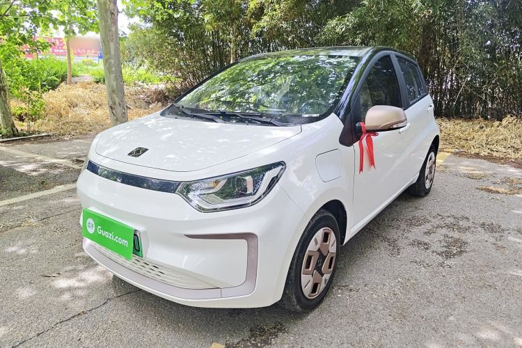 Used SOL E10X 2022 Flower Fairy Design Dandelion