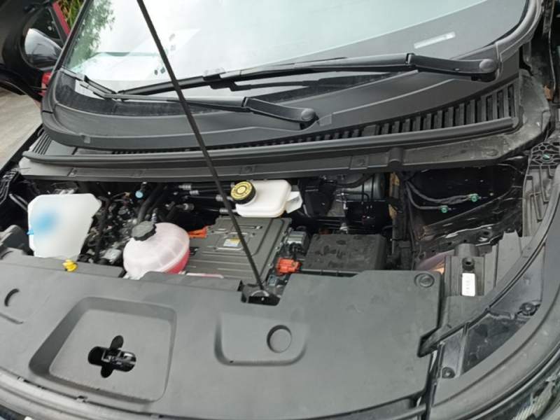 Used BYD Dolphin 2025 Intelligent Driving Version 410 km Fashion Edition — 20