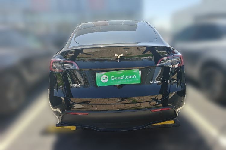 Used Tesla Model Y 2021 Standard Range Rear-Wheel Drive Version Rear