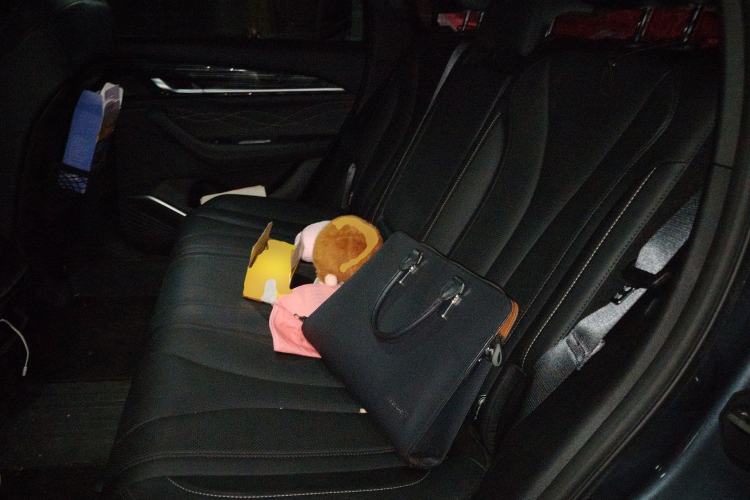 Used Geely Auto Monjaro L 2024 2.0TD DCT EVO Two-Wheel Drive Long-Range Version
