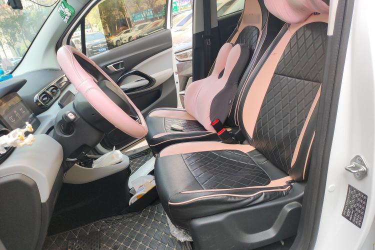 Used Leapmotor T03 2023 310 Lite Edition Left Front Seat