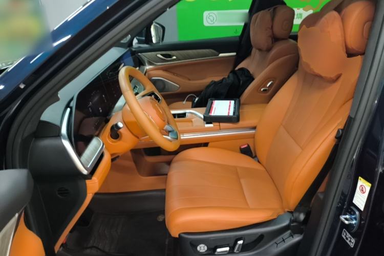 Used Wey Lanshan 2023 Four-Wheel Drive Ultra-Long Range Version Left Front Seat