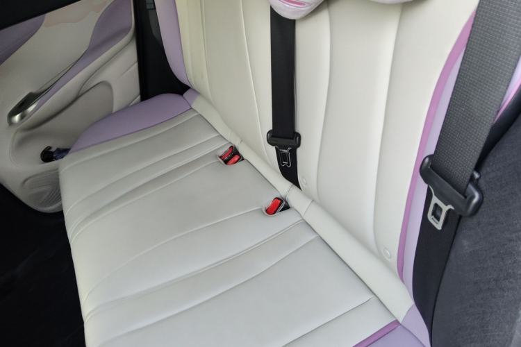 Used BYD Dolphin 2021 405 km Fashion Edition Left Rear Seat