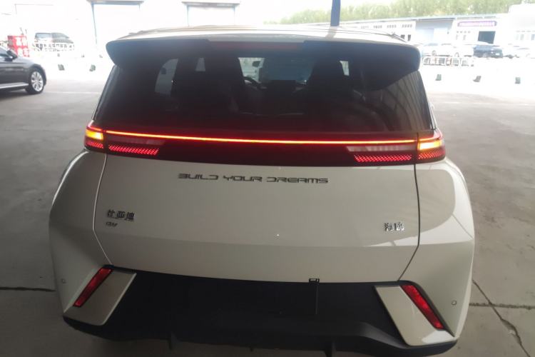 Used BYD Seagull 2023 Free Edition Rear