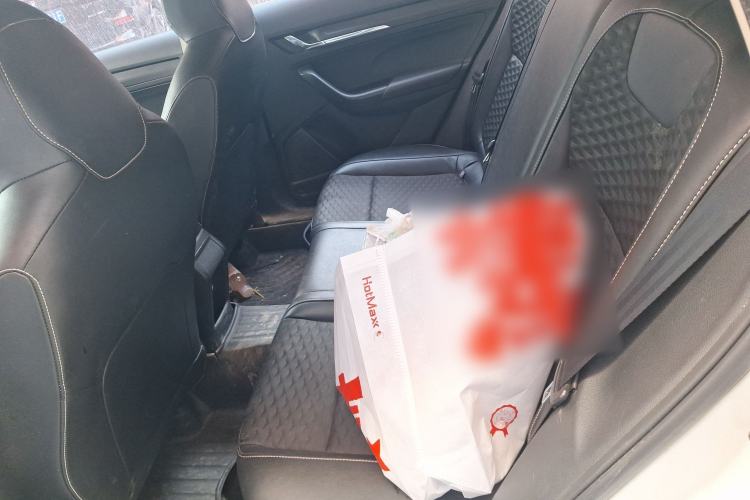 Used Skoda Kamiq 2018 1.5L Automatic Comfort Edition China VI Standard Left Rear Seat