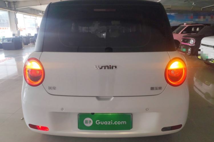 Used CHANGAN NEVO Lumin 2023 205km Xiangqin Version Rear