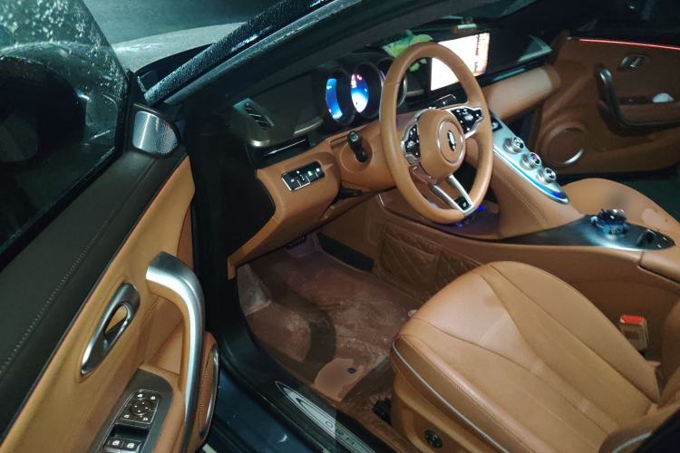 Used ORA Lightning Cat 2022 555 km Luxury Edition