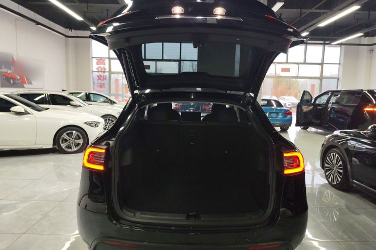 Used Tesla Model Y 2021 Standard Range Rear-Wheel Drive Version
