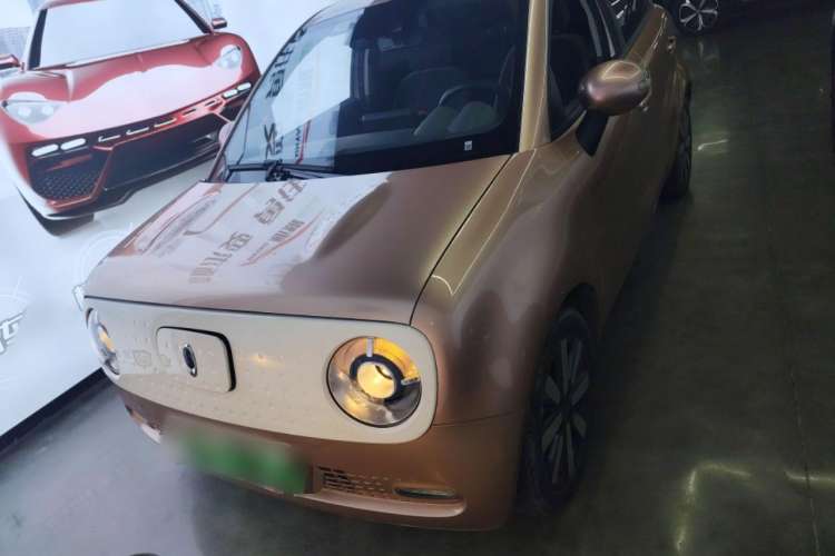 Used ORA Black Cat 2021 405 km Long-Range Version
