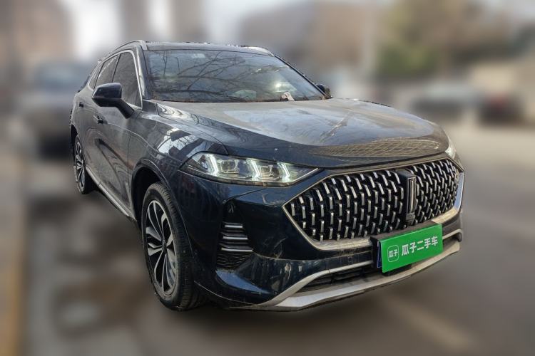 Used Wey Mocha 2021 2.0T Two-Wheel-Drive Premium Edition
