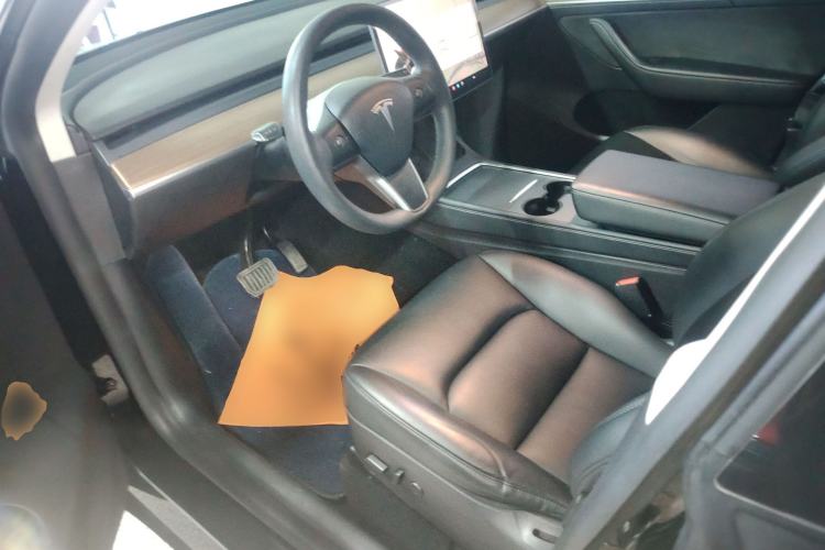 Used Tesla Model Y 2021 Standard Range Rear-Wheel Drive Version
