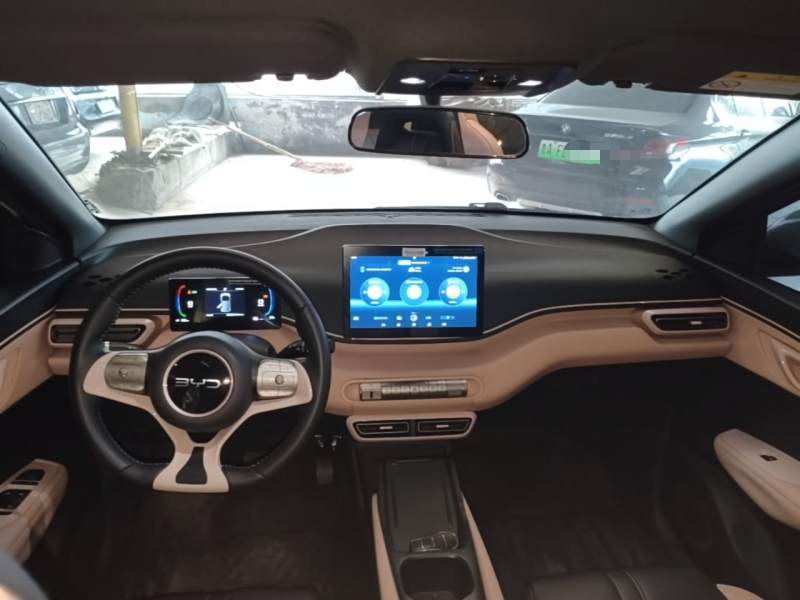 Used BYD Seagull 2025 305 km Free Version — 9