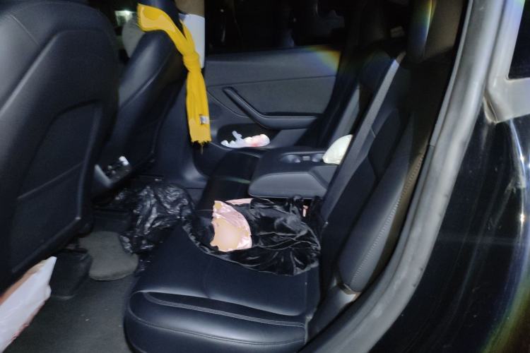 Used Tesla Model Y 2022 Revised Version Rear-Wheel Drive
