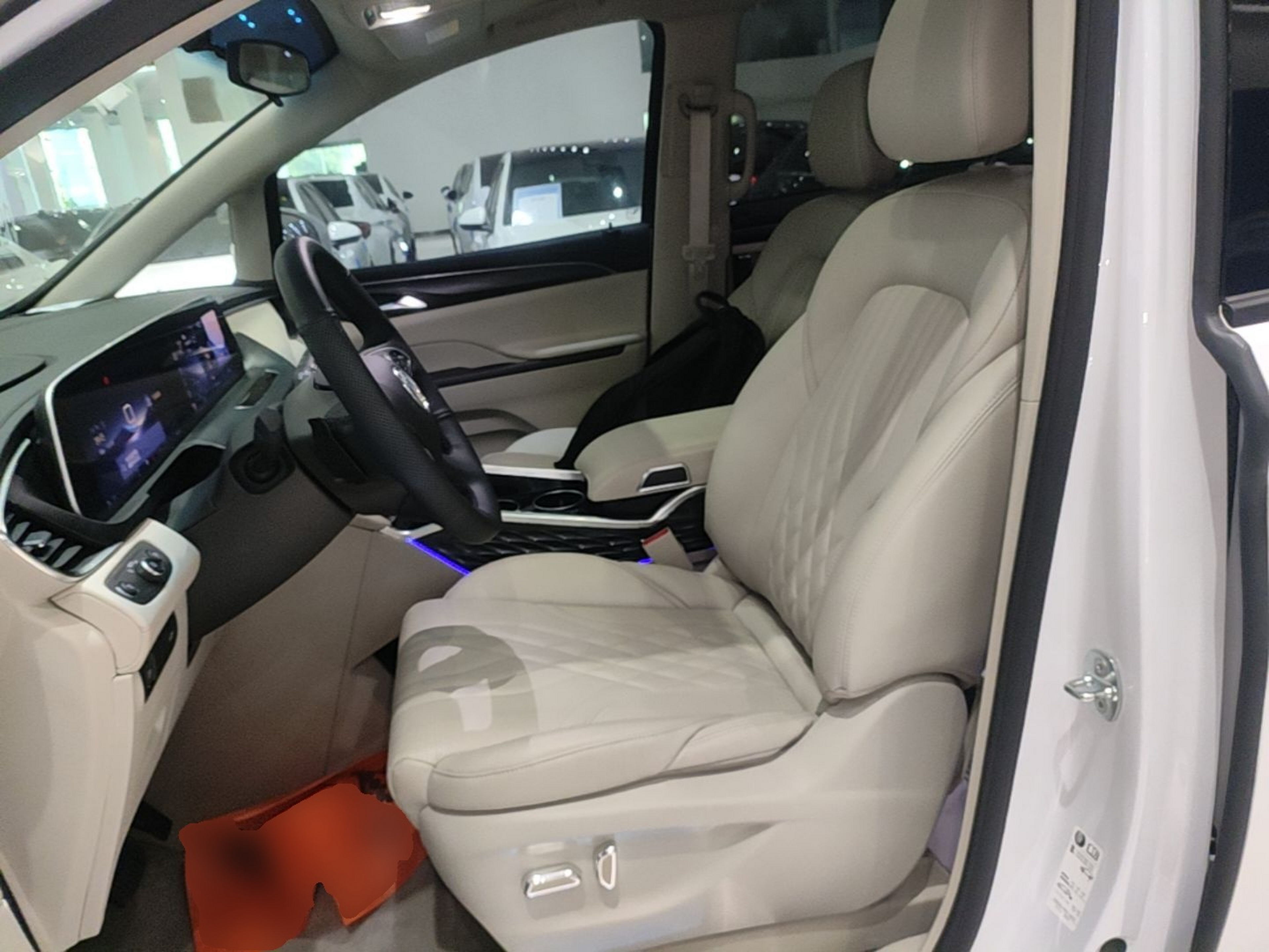 Interior delantero