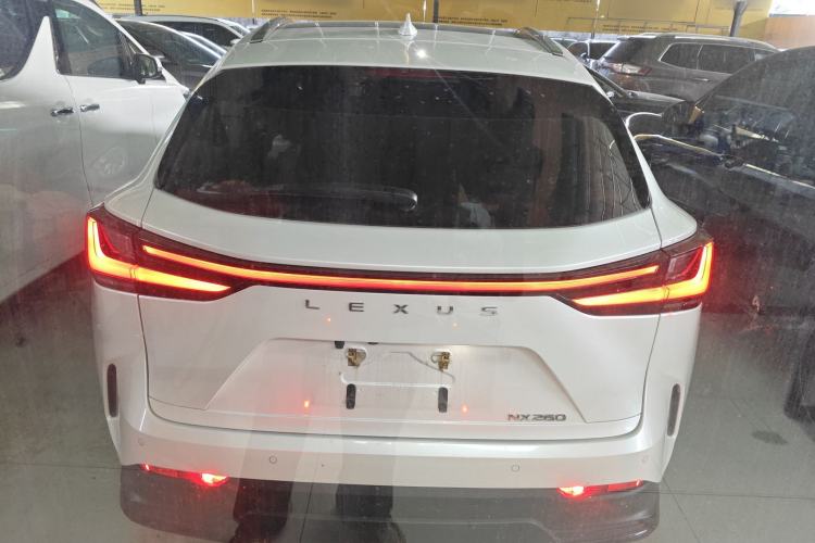 Used Lexus NX 2022 260 Front-Wheel Drive Enjoy Edition